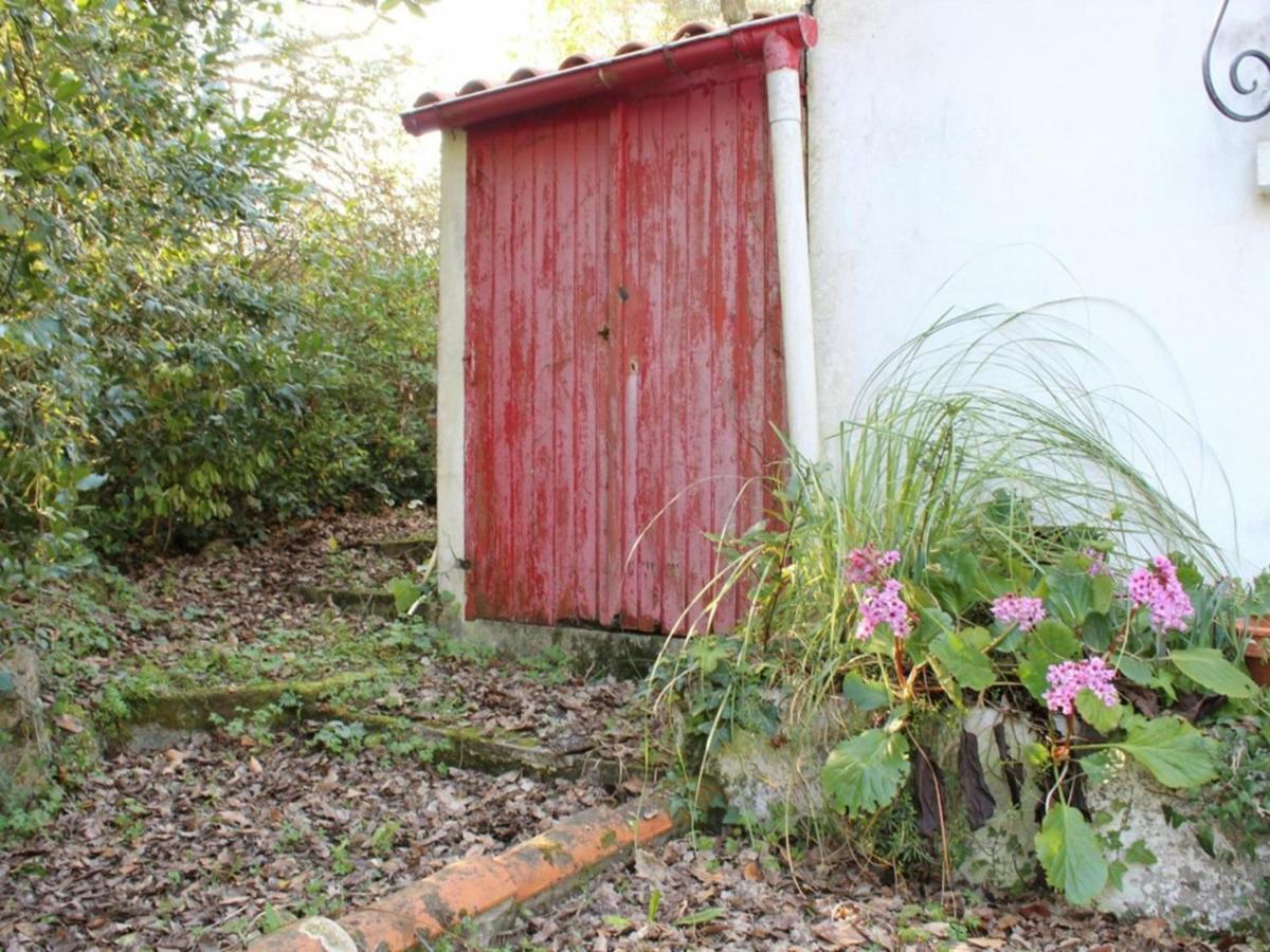 Вілла Maison 2 Pieces A Saint-Pierre-D'Oleron, 4 Couchages, Proche Plage, Grand Jardin, Veranda, Calme - Fr-1-246A-367 Ла-Котіньєр Екстер'єр фото